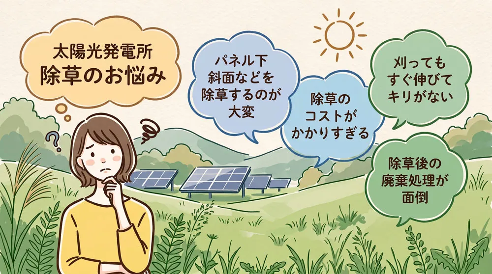 太陽光発電所の除草のお悩み