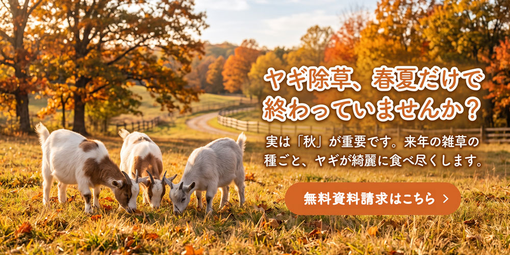 無料資料請求
