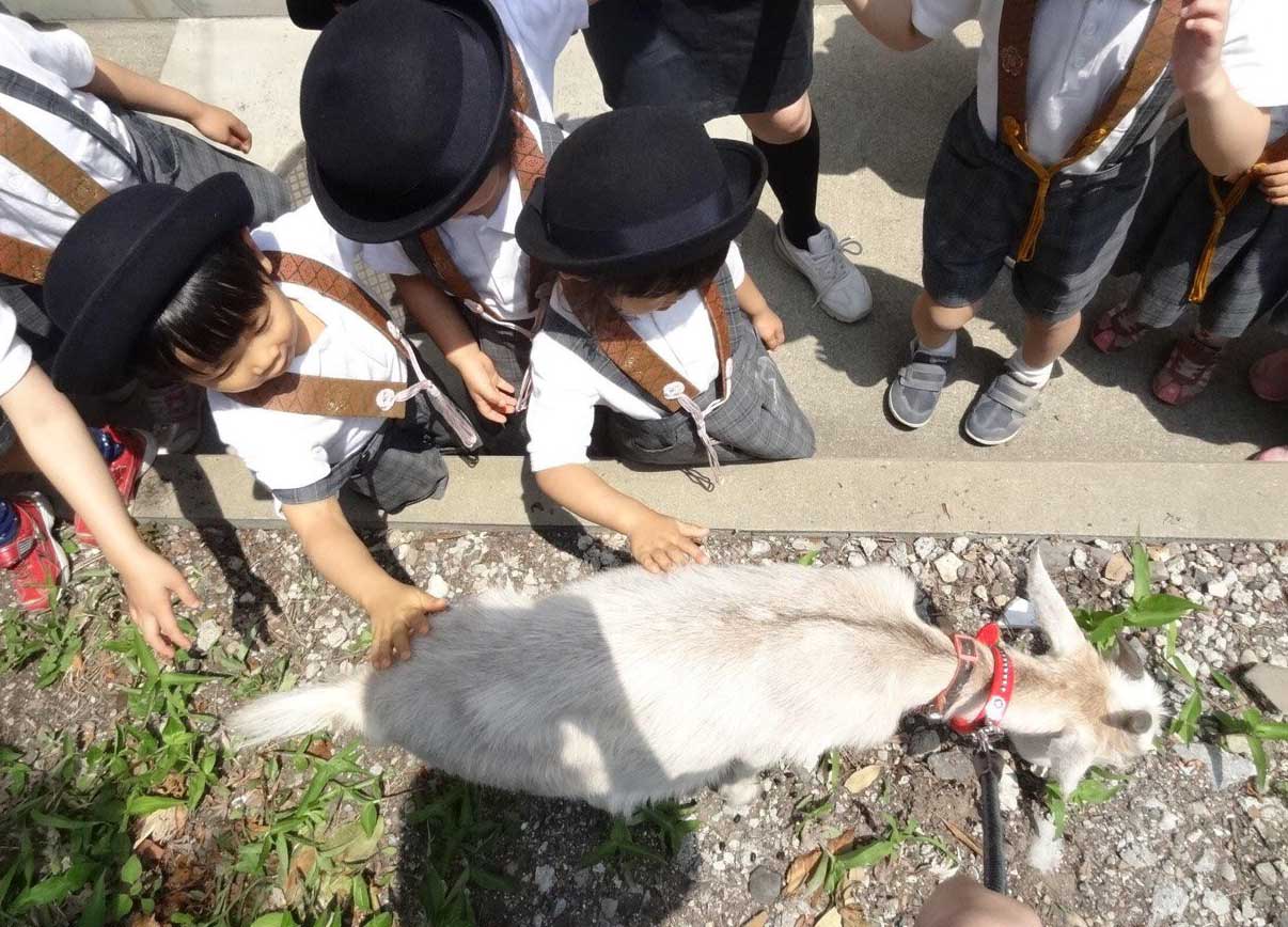園児がヤギと触れ合う様子