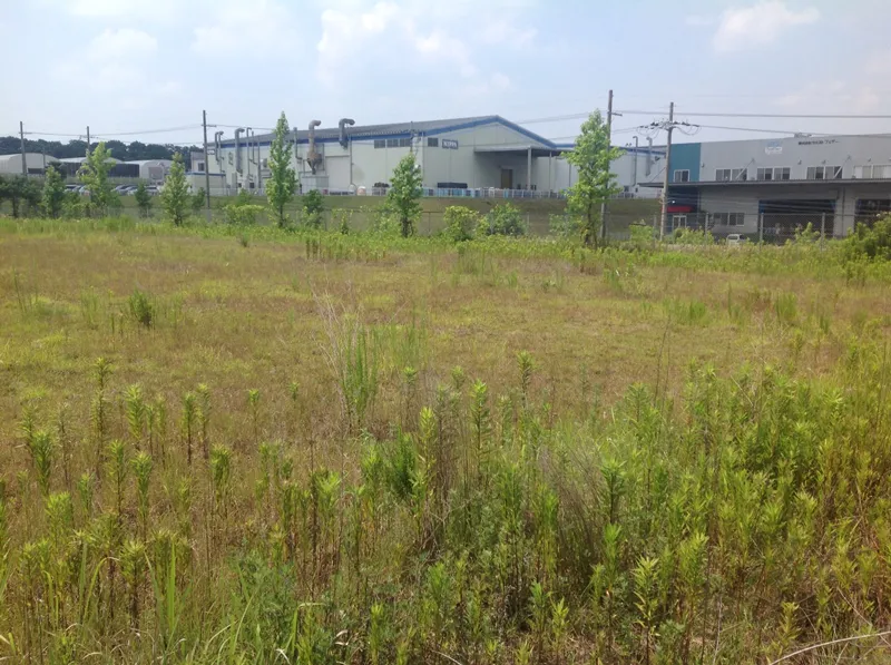兵庫県三田市S社へのヤギレンタル